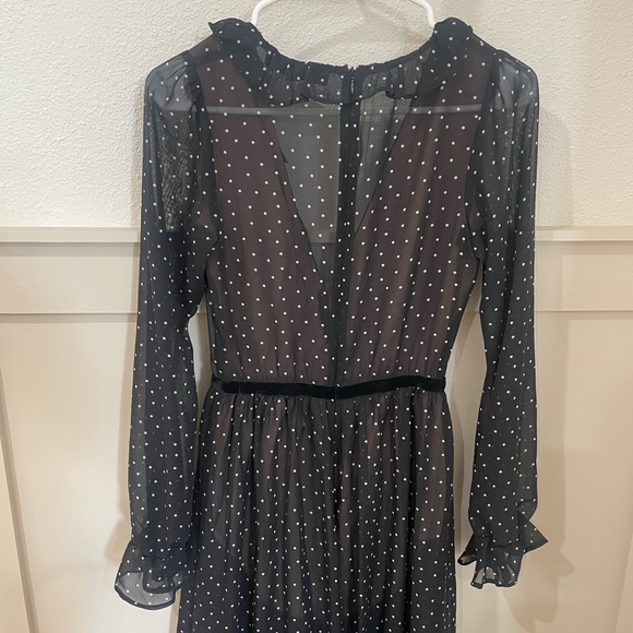 For Love And Lemons Black Sheer Polka Dot Maxi Dress - Picture 10 of 11